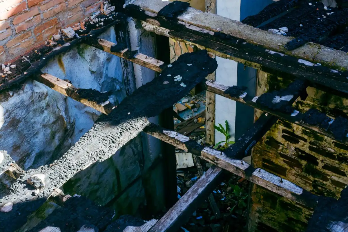 Roof Leak Repair in Tampa, FL